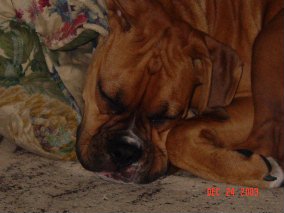 Hard Day