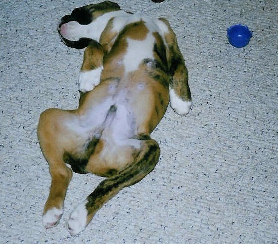 Hard day