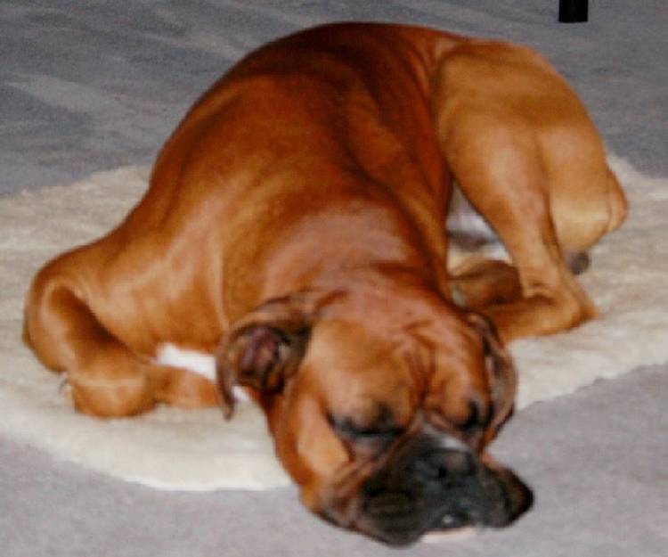 Hard Life