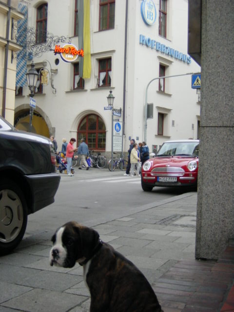 Harlan in Munich