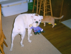 Harley and his baby