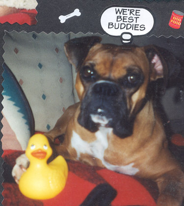 Harley & Ducky...