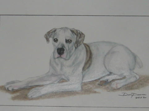 Harley's Portrait