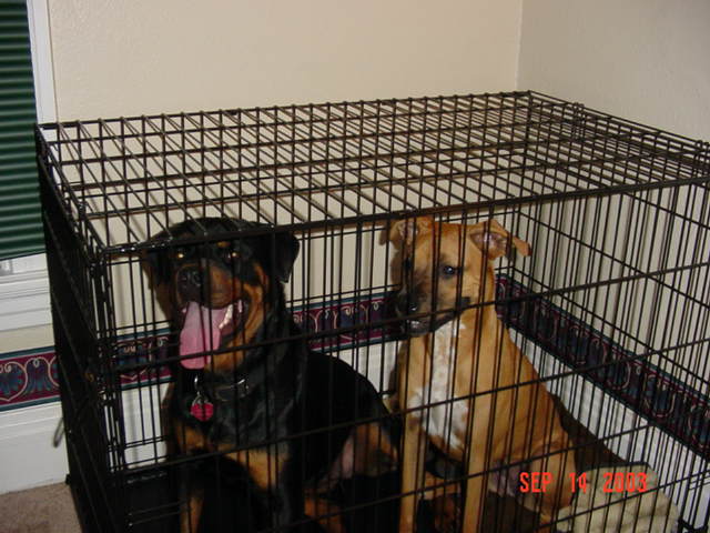 Harlie and Audrey