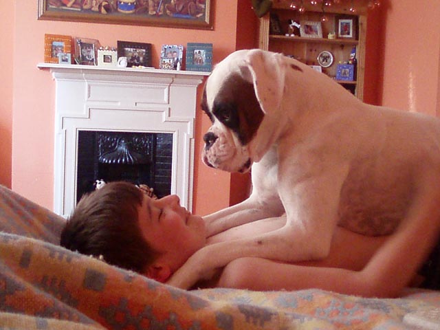 Harry and Luka playing