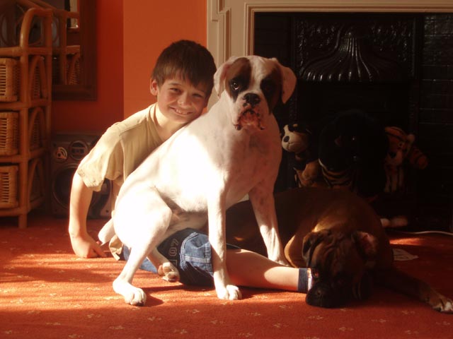 Harry Luka and Rubes