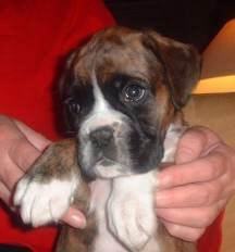 Harry's 1st pic