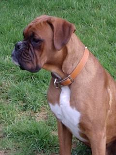 Harvey 10 months