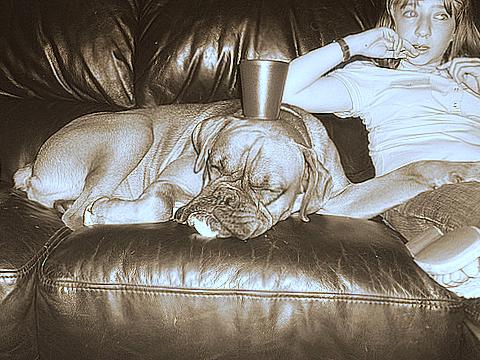 Harvey after one too many!!