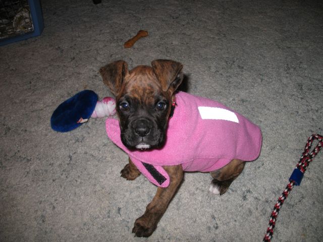 Hate my Coat