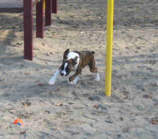 Having a ball..