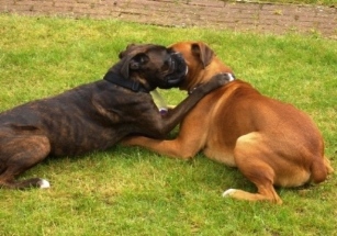 Having a Hug