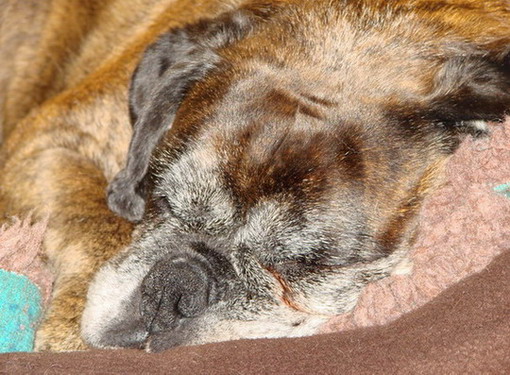 Having big Zzzzzzzzzzzzzzzzzzzzzz