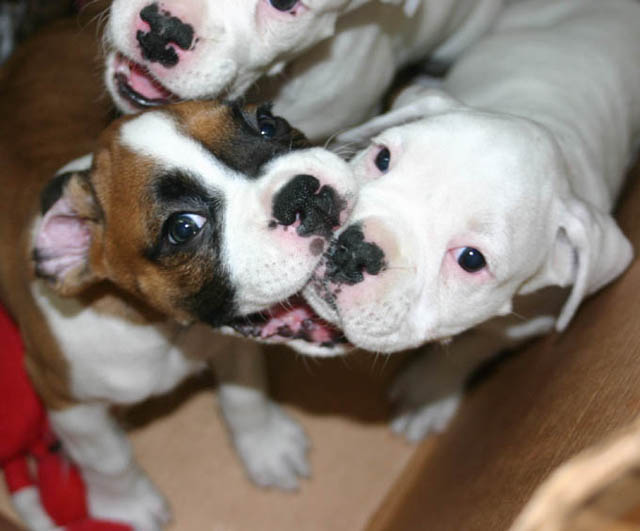 having fun biting her brother