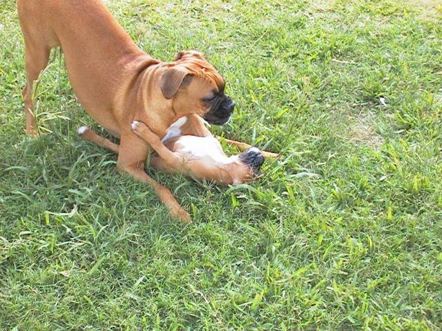 Having fun!