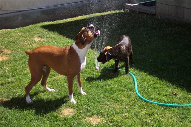 Having Fun!