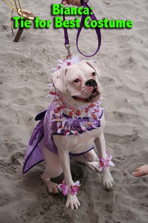 Hawaii Girl