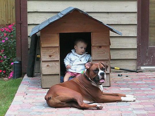 Hay - Who is in my house?