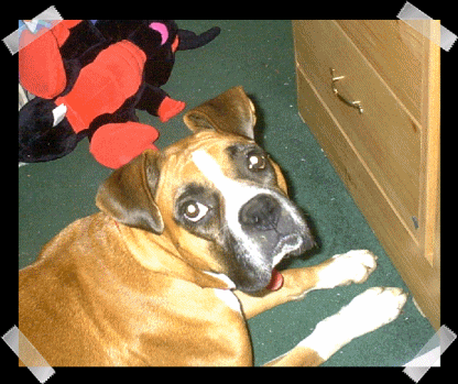 Haylee Sittin Pretty :)