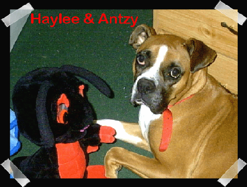 Haylee with her Plush Antzy!