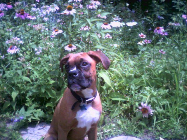 Hazel Posing