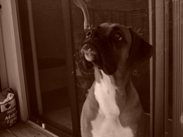 He doesnt look like an alien
