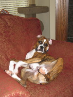 He has such a rough life!