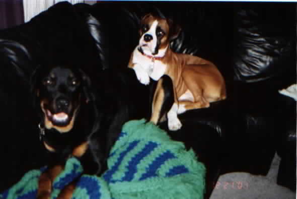 He has to get in the picture !!!
