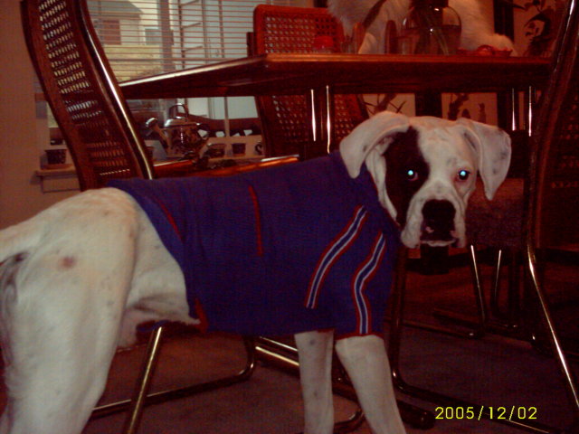 He hates his sweater