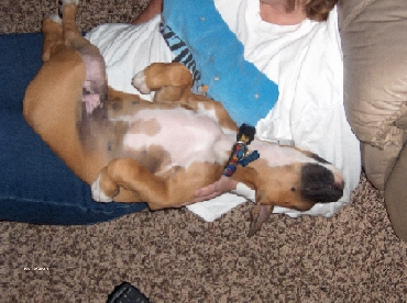 He is a momma's boy...I love it!!!!