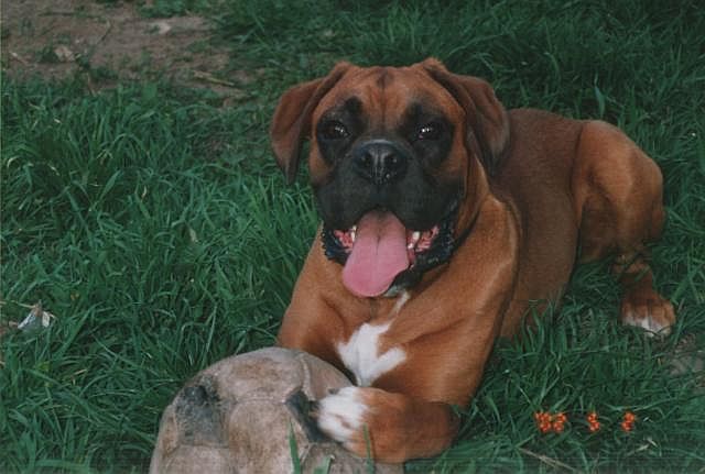 He is happy with his ball