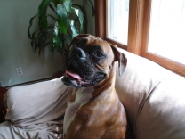 He is my Handsome Boy