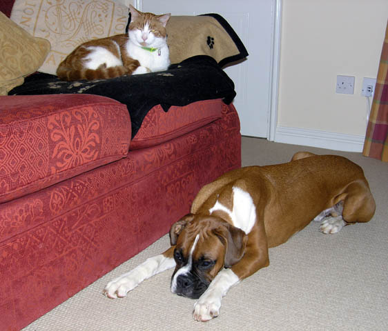 He Knows His Place