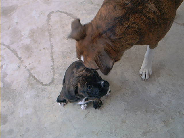 He loves his new sister