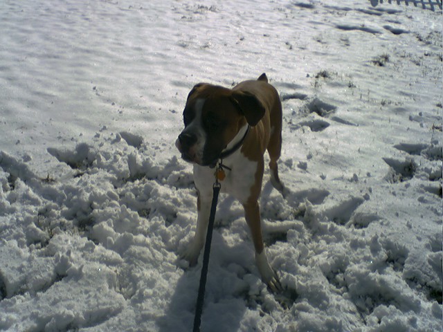 He Loves Snow