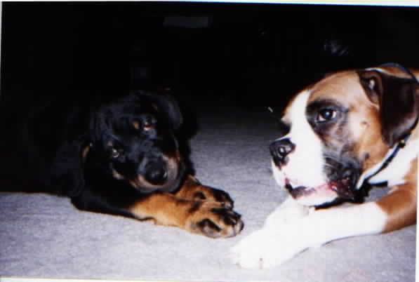 He used to be cute !!!