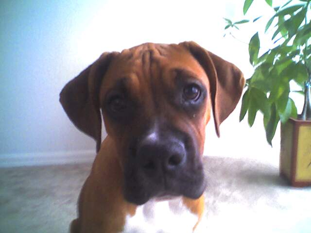 He was just a baby