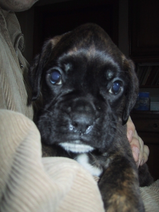 He will most likely never be as cute again