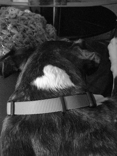 Heart Shape Marking
