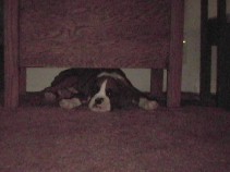 Heater Hog!
