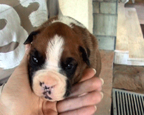 he'e only 3! (weeks!!!)
