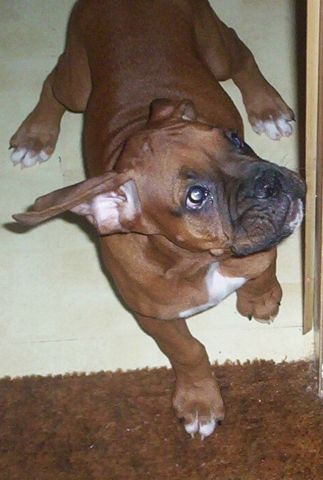 HeHe! Found you!