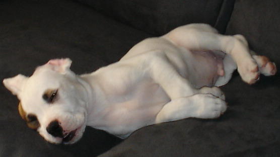 hehe I can sleep anywhere at anytime...