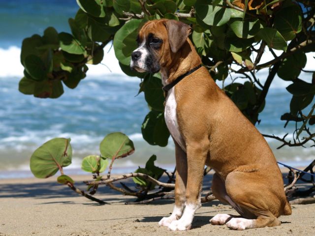 Heidi at the Beach