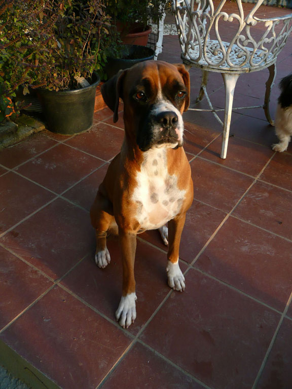 Heidi