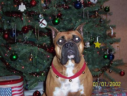 heidi2005
