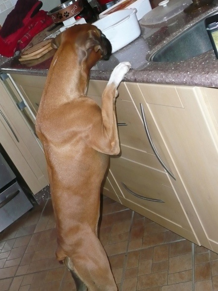 Heidi_supper