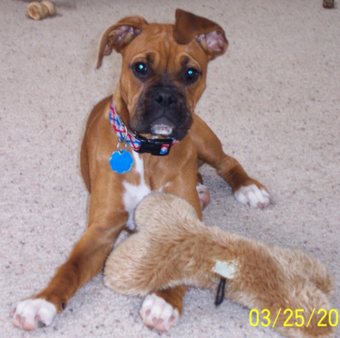 Heidi's 5 months old!