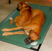Heidi's Family