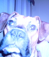 Hello Mom!